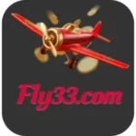 fly33.com